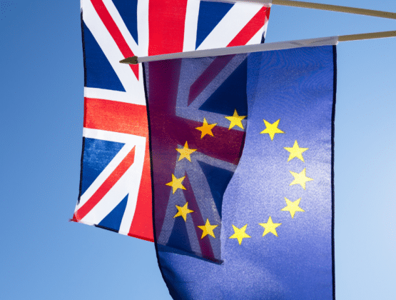 How skills training could change after Brexit