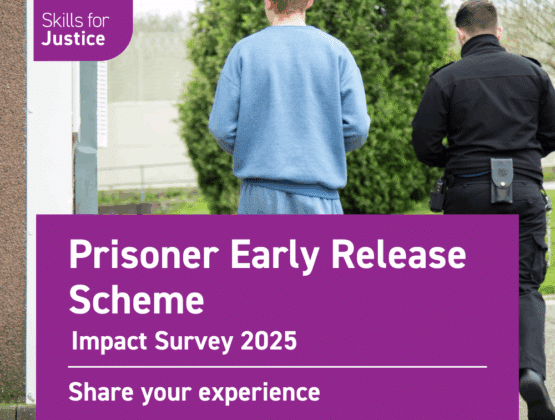 Prisoner Early Release Scheme - Impact Survey 2025