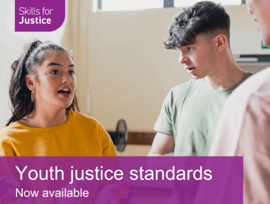 Youth justice standards - now available