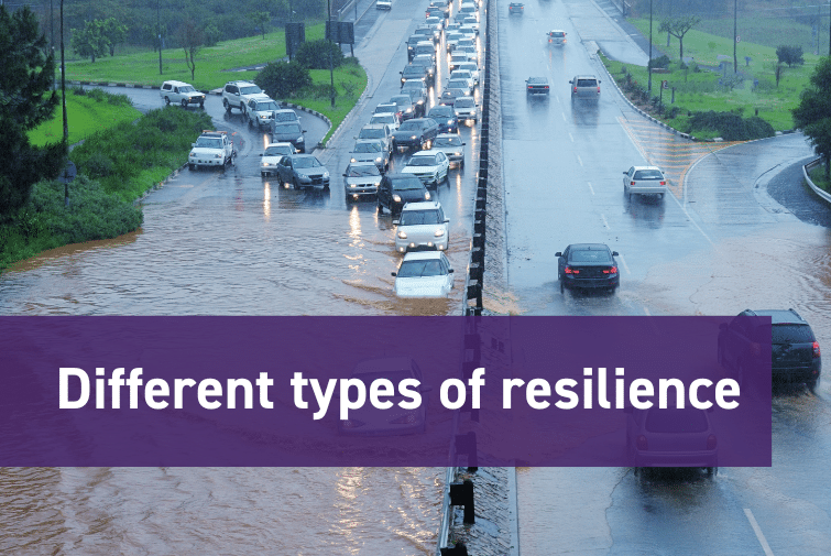 Six key types of resilience impacting the justice sector