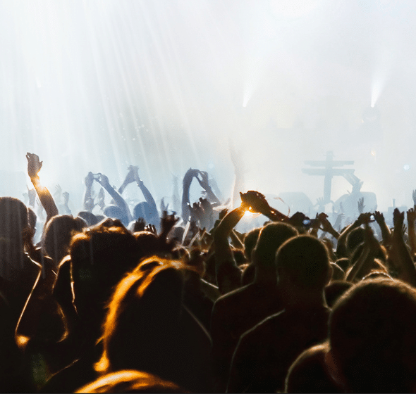 Crowd of concert goers