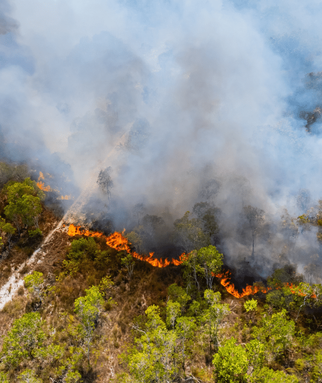 aerial shot of wildfire