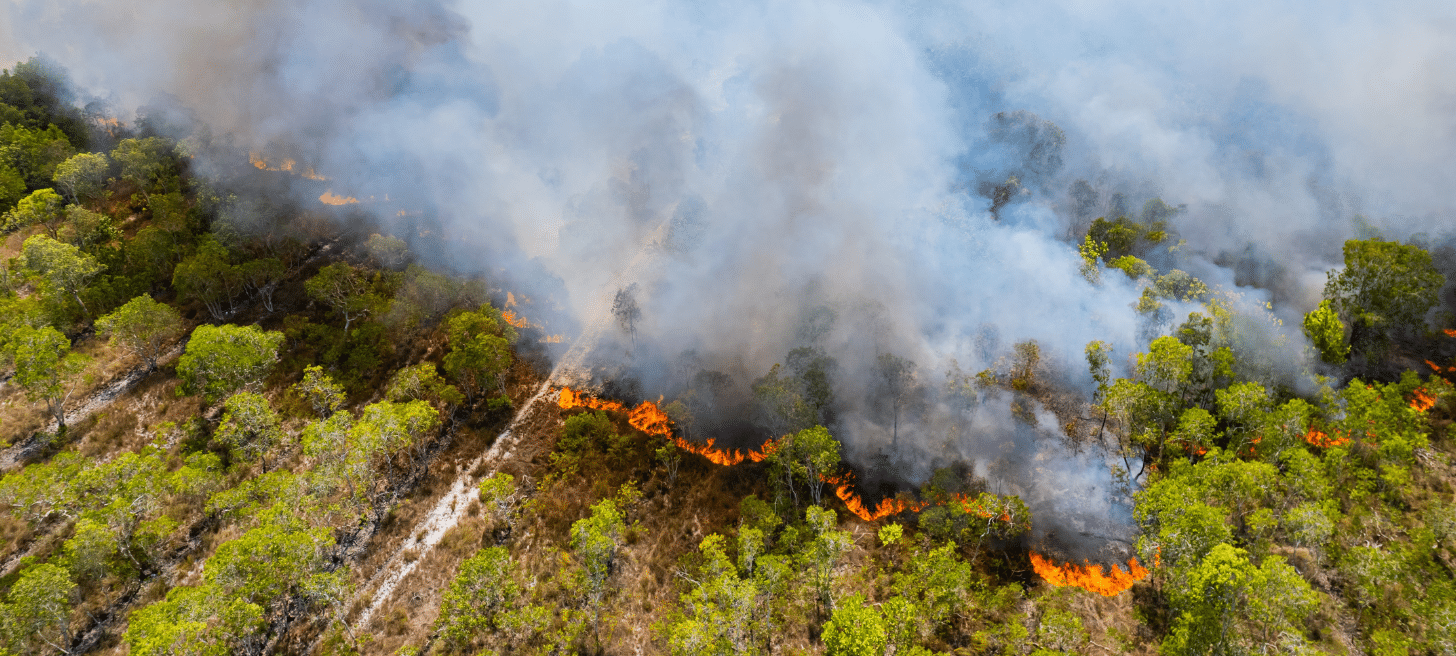 aerial shot of wildfire