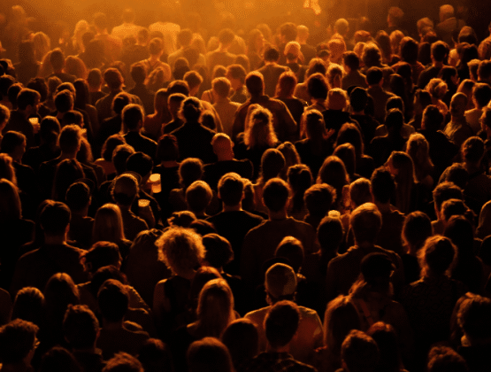Audience at a live concert