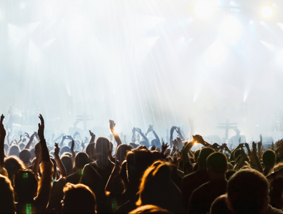 Busy concert crowd
