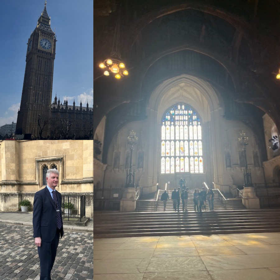 Celebrating Inspire Justice Awards winners at the House of Lords