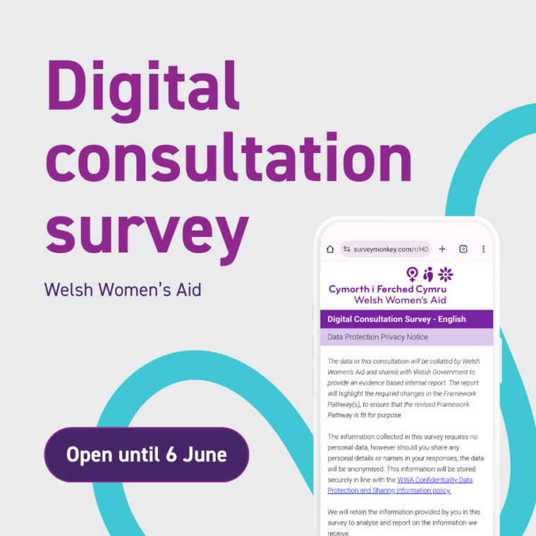 Digital Consultation Survey Welsh Women's Aid