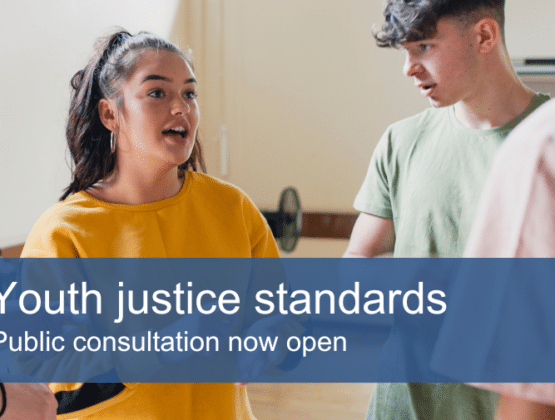 Youth justice standards - public consultation now open